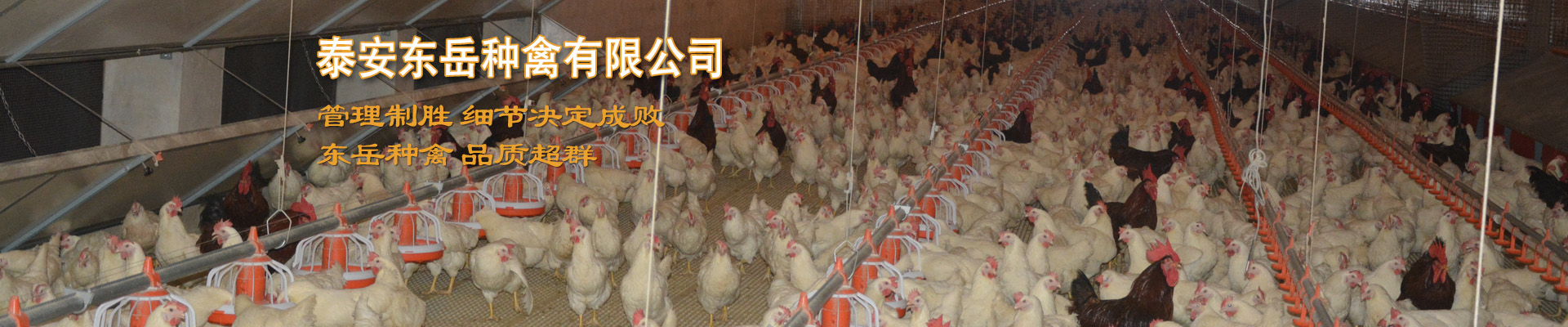 智能節(jié)拍流水線(xiàn)